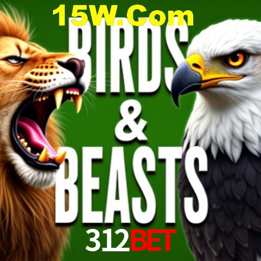 Apostas Esportivas na 312Bet: Um Guia Completo