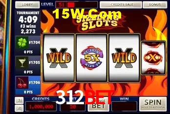 312Bet - User Statistics
